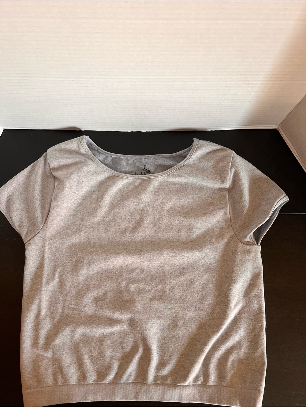 Free People Gray Short Sleeve Grey Cropped Top